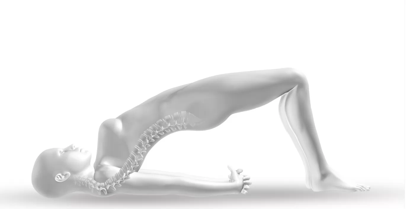 What is Scoliosis? Symptoms, Causes, and Effective Treatment Methods